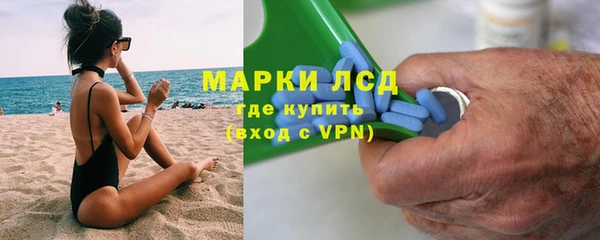 индика Бронницы