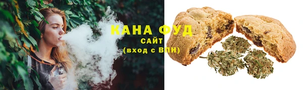 индика Бронницы