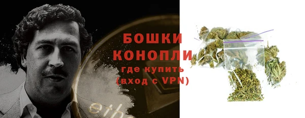 индика Бронницы