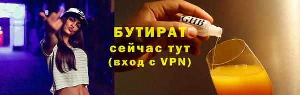 индика Бронницы