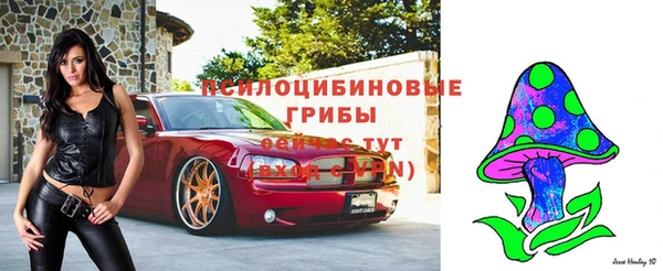 индика Бронницы