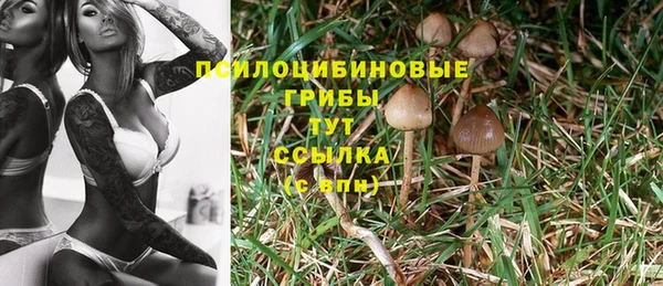 индика Бронницы