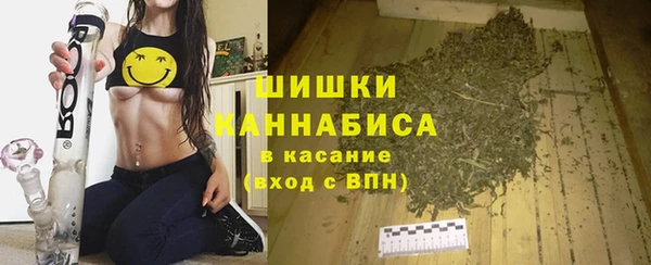 круглые Бородино