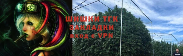 индика Бронницы