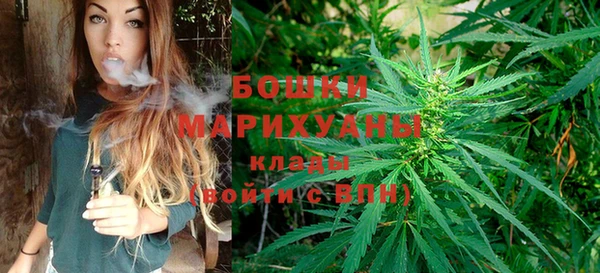 индика Бронницы