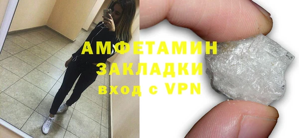 индика Бронницы