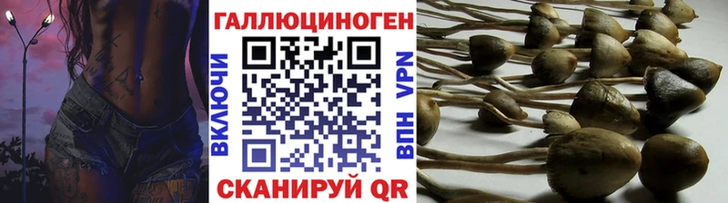 Псилоцибиновые грибы MAGIC MUSHROOMS  Купить закладки  Апатиты 